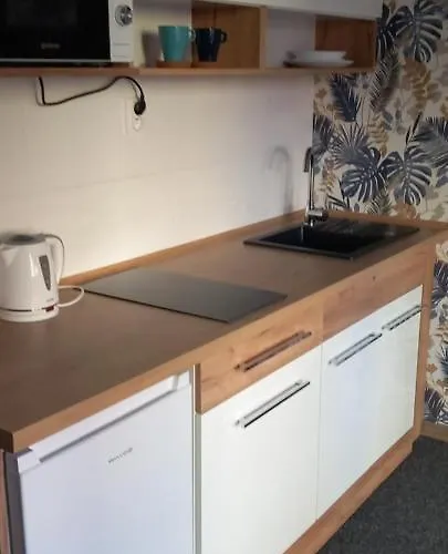 Hola Zelwerowicza * Łódź