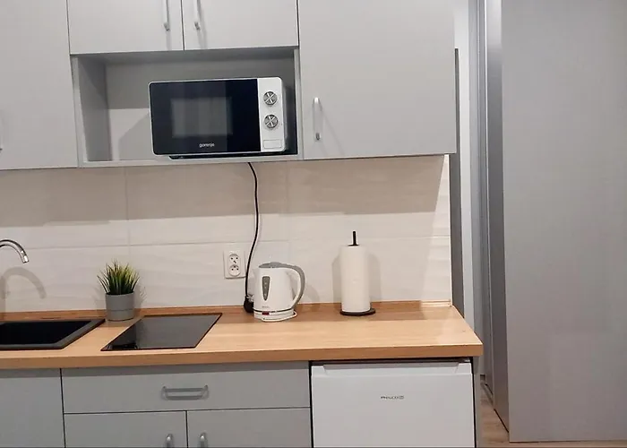 Hola Zelwerowicza Lejlighed